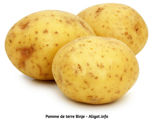 Pomme de terre binje