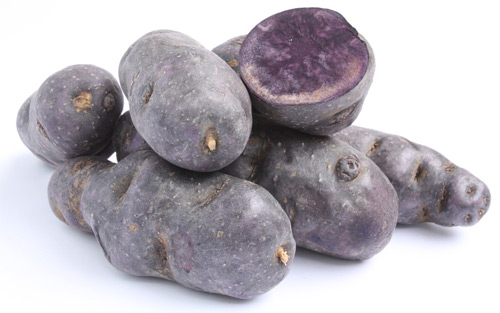 Pomme de terre Vitelotte